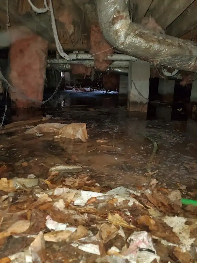 Crawl space flood assessment for Leak Detection & Repair in Dixon